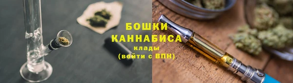 ПСИЛОЦИБИНОВЫЕ ГРИБЫ Богданович